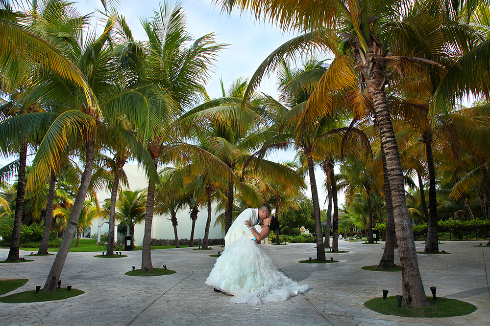 Newlyweds kiss amid lush palm trees, symbolizing love and tropical wedding