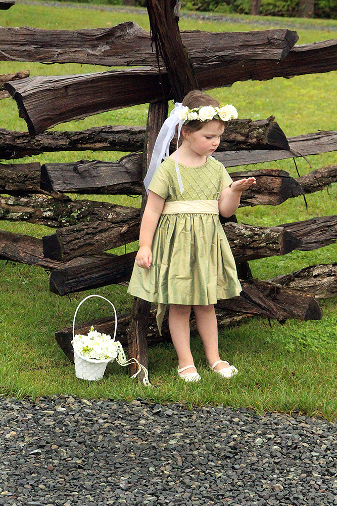 A young girl in a dress standing next to a fence, enjoying the outdoors.