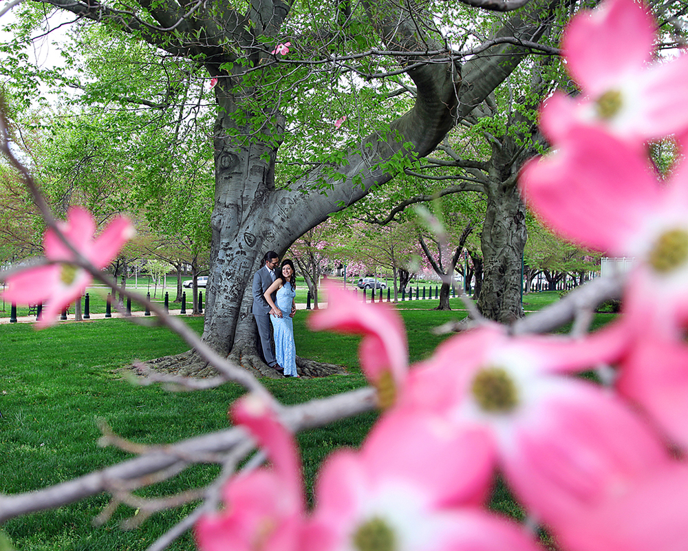 A couple standing under a tree in a park, sharing a serene moment together surrounded by the beauty of nature.