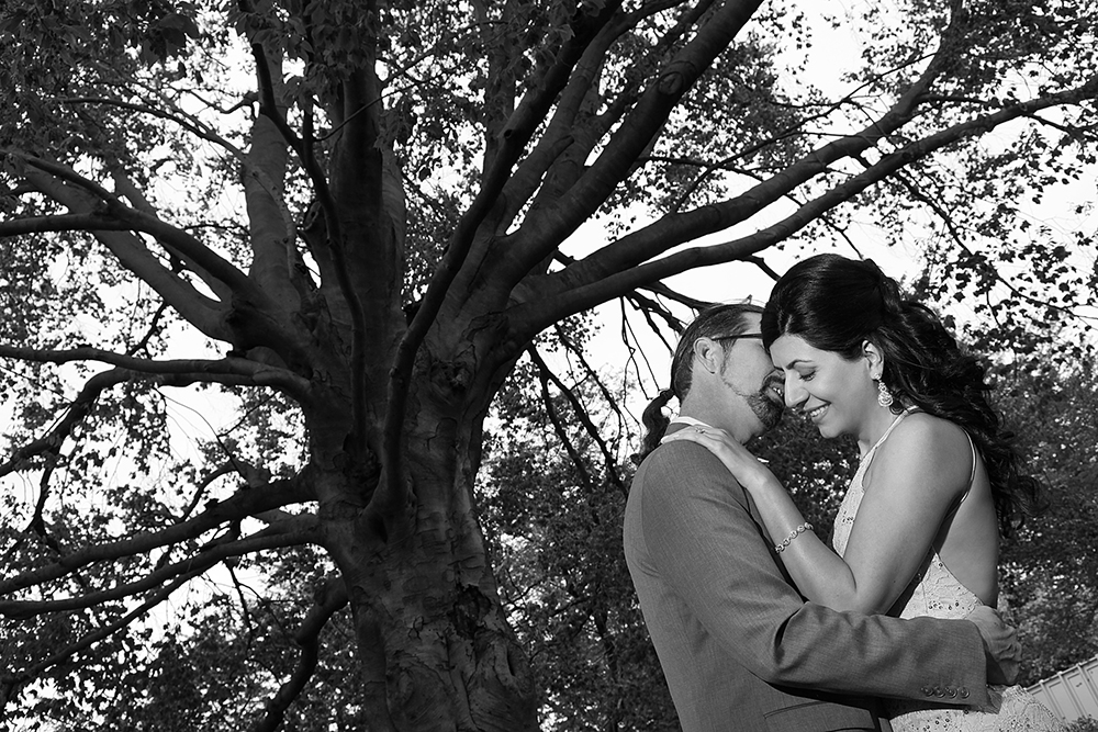 A bride and groom sharing a romantic moment under a tree.