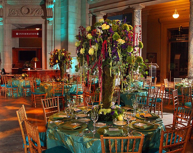 An expansive party venue showcasing neatly arranged tables and chairs, ready for a lively gathering