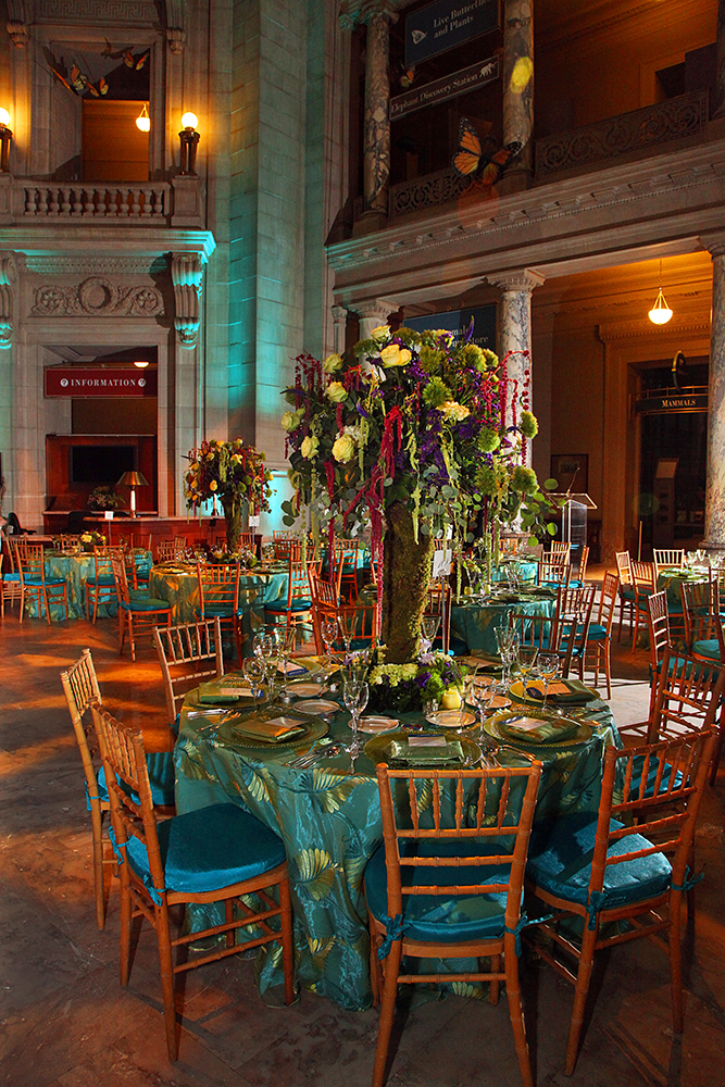 An expansive party venue showcasing neatly arranged tables and chairs, ready for a lively gathering