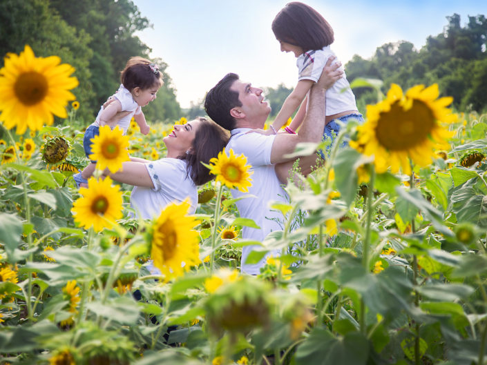 Joyful family in vibrant sunflower field, basking in sunlight.