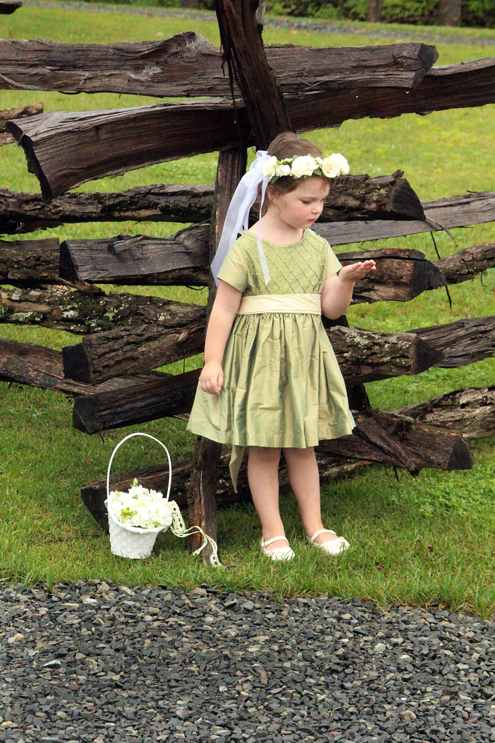 A little girl in a green dress standing next to a wooden fence.